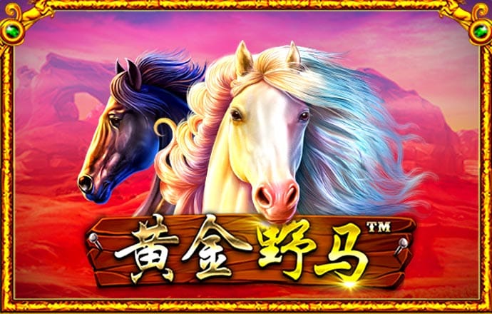 好彩客app苹果版