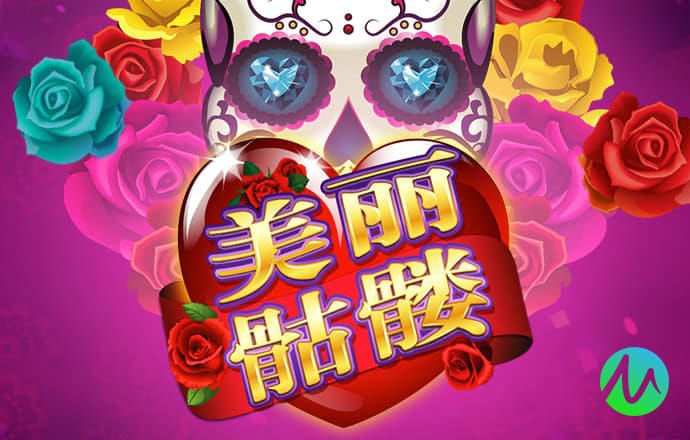 云开体育app网页版入口